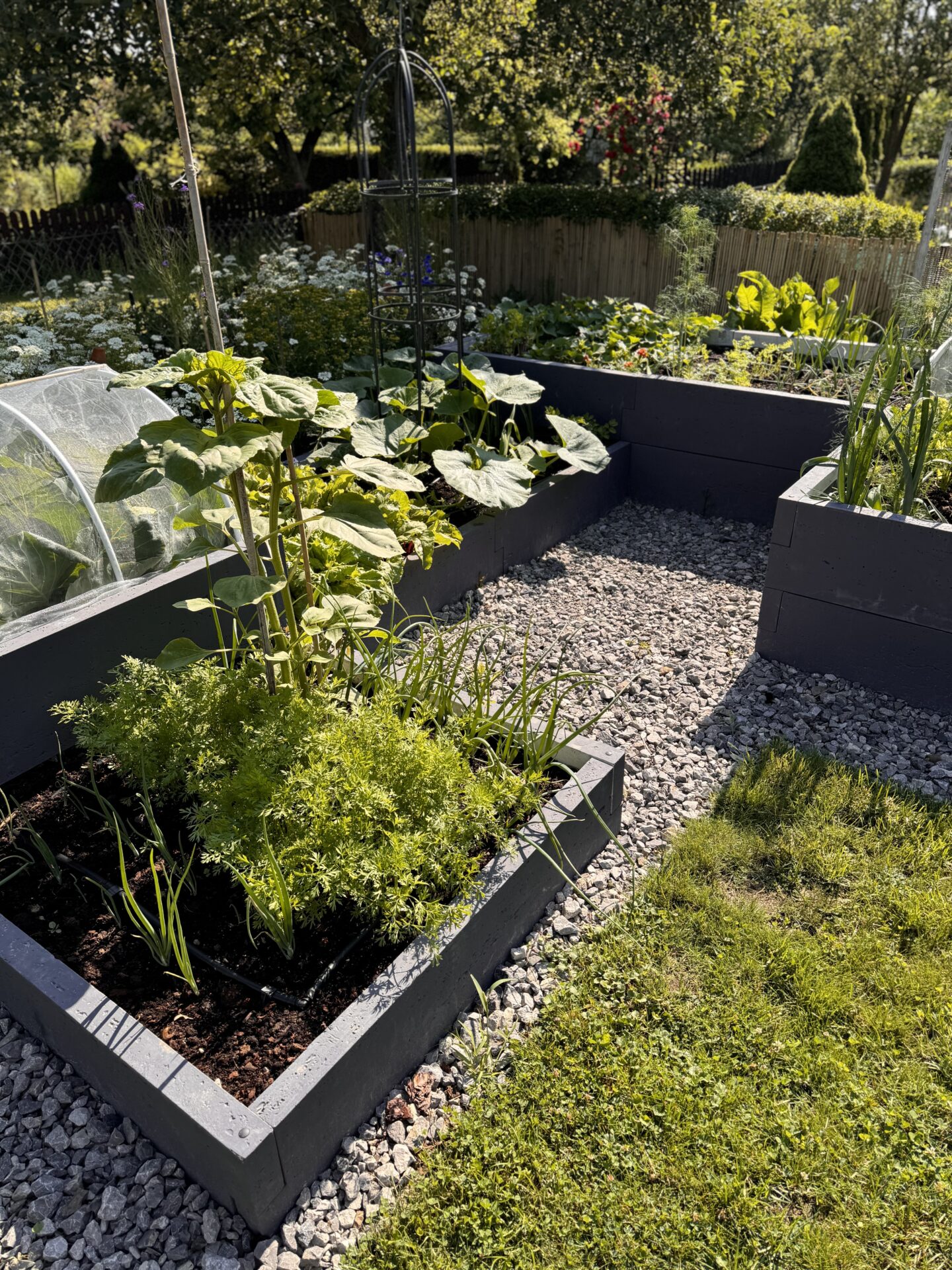 Podwyższone grządki